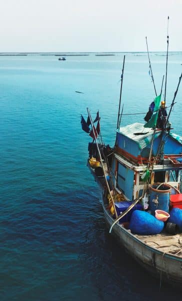 Sélection d'un prestataire pour le renforcement de la filière de la pêche artisanale 